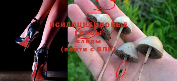 jwh Верея