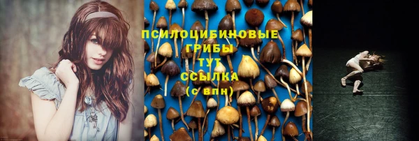 тгк Верхний Тагил